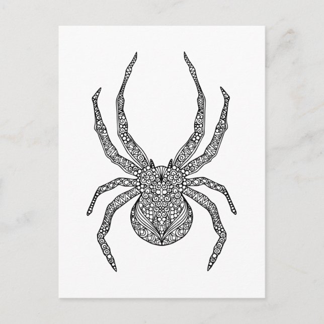 Spider Doodle Postcard (Front)