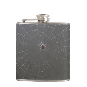 Spider Flask