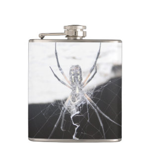 Spider Flasks