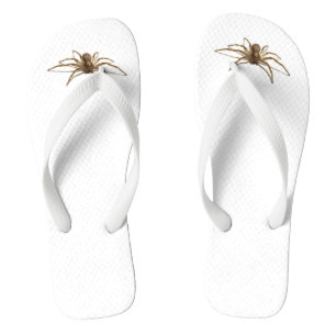 Spider Flip Flops