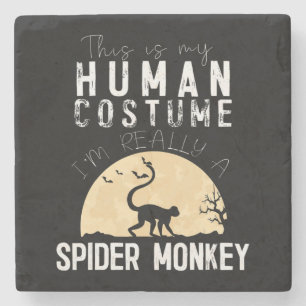 Spider Gift Halloween Human Costume Spider Stone Coaster