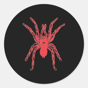 Spider Graphic Design Classic Round Sticker