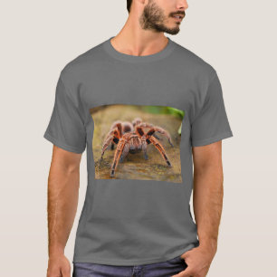 Spider Graphic Nature T-Shirt
