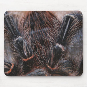spider hair mouse mat