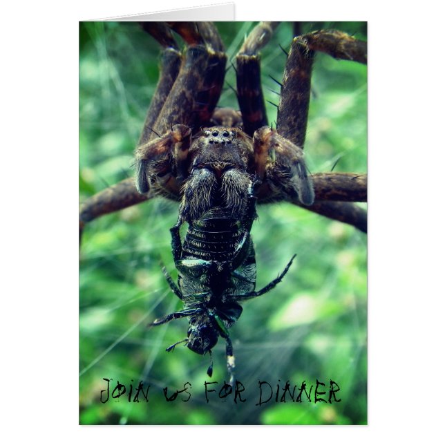 Spider Halloween Dinner Invitation (Front)