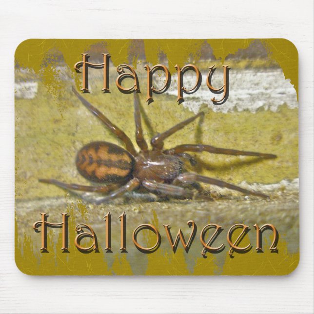 Spider Halloween Holiday Coordinating Items Mouse Mat (Front)