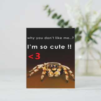 Spider I'm So Cute | Spider Lover Gift