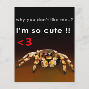 Spider I'm So Cute Spider Lover Gift Flyer