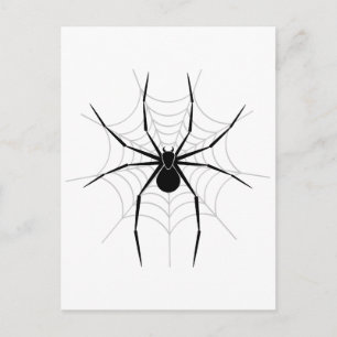 Spider in a Web Postcard