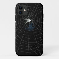 spider in web