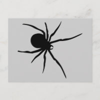 Spider Insects Spiders Arachnida Black Art Animal