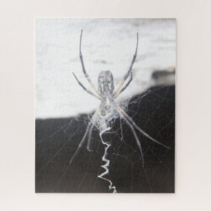 Spider Jigsaw Puzzle