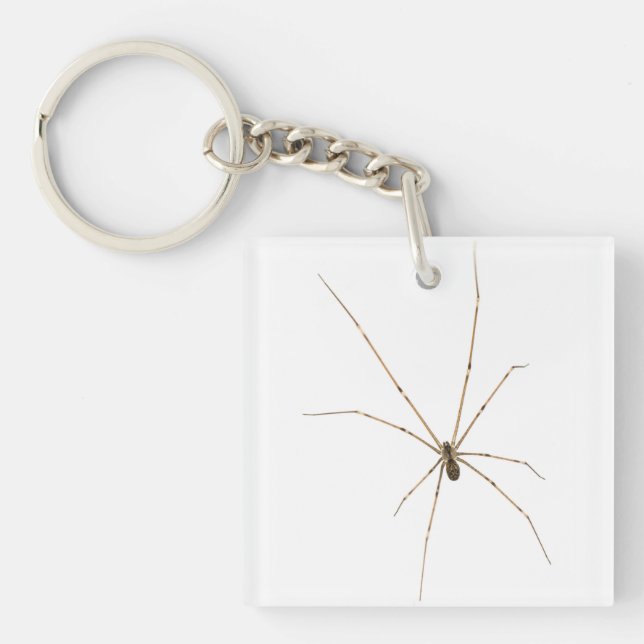 Spider Key Ring (Front)