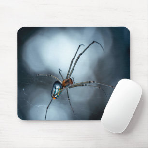 Spider Lovers   Beauty Spider With Webs Mouse Mat