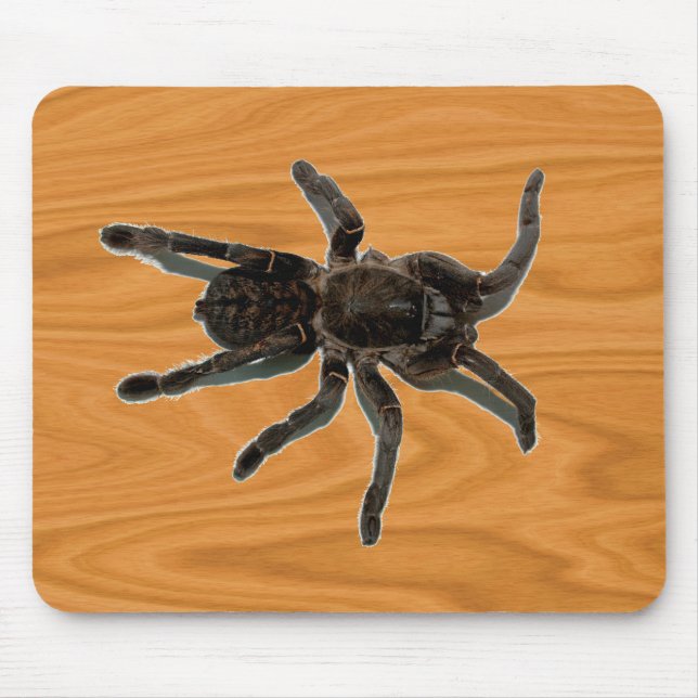 Spider lovers mouse mat (Front)