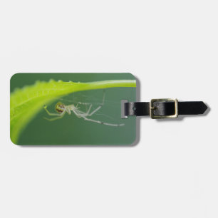 Spider Luggage Tag