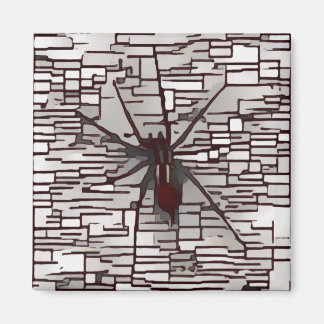 Spider Magnet