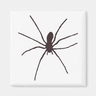 Spider Magnet