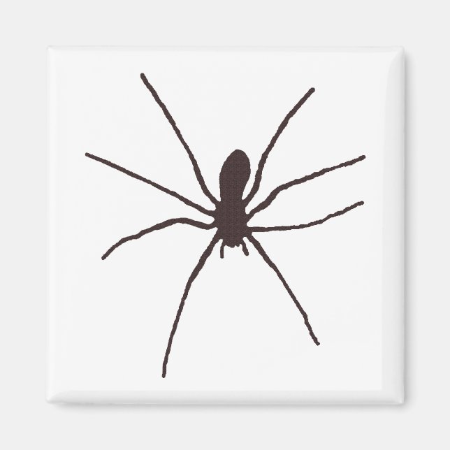 Spider Magnet (Front)