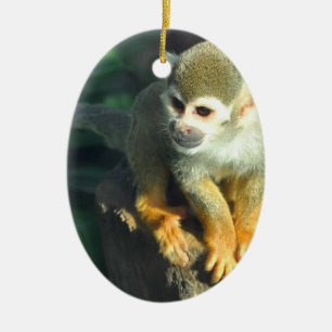 Spider Monkey Ceramic Tree Decoration