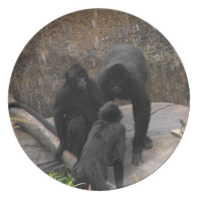 Spider-Monkey Dinner Ware Plate (Front)