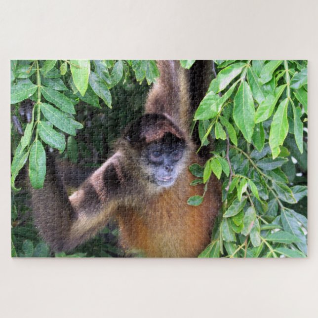 spider monkey jigsaw puzzle (Horizontal)