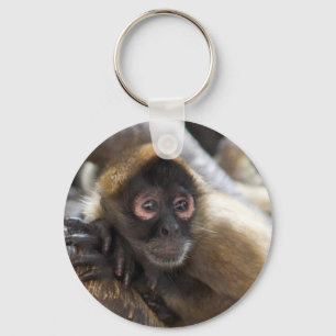spider monkey key ring