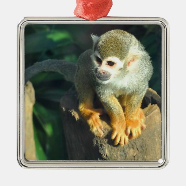 Spider Monkey Metal Tree Decoration (Front)