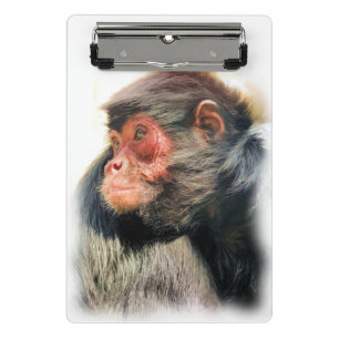 SPIDER MONKEY MINI CLIPBOARD