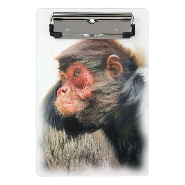 SPIDER MONKEY MINI CLIPBOARD (Front)