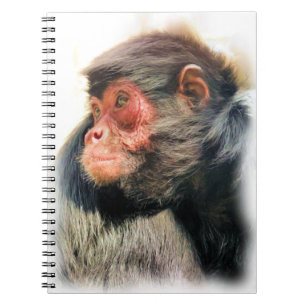 SPIDER MONKEY NOTEBOOK