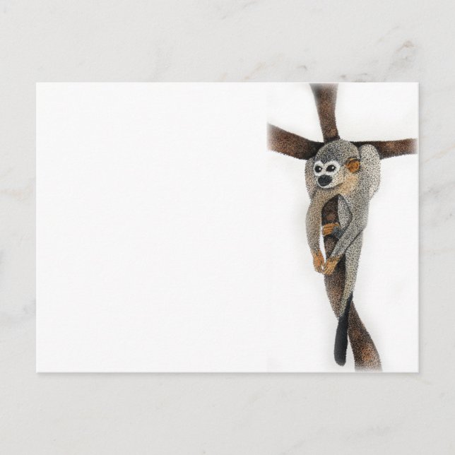 spider monkey pen art postcard (Front)