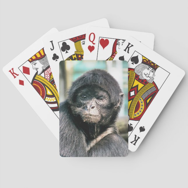 SPIDER MONKEY PLAYING CARDS (Back)