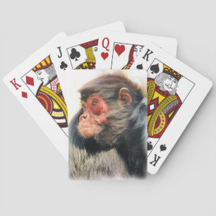 SPIDER MONKEY PLAYING CARDS