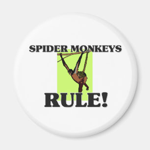 SPIDER MONKEYS Rule! Magnet