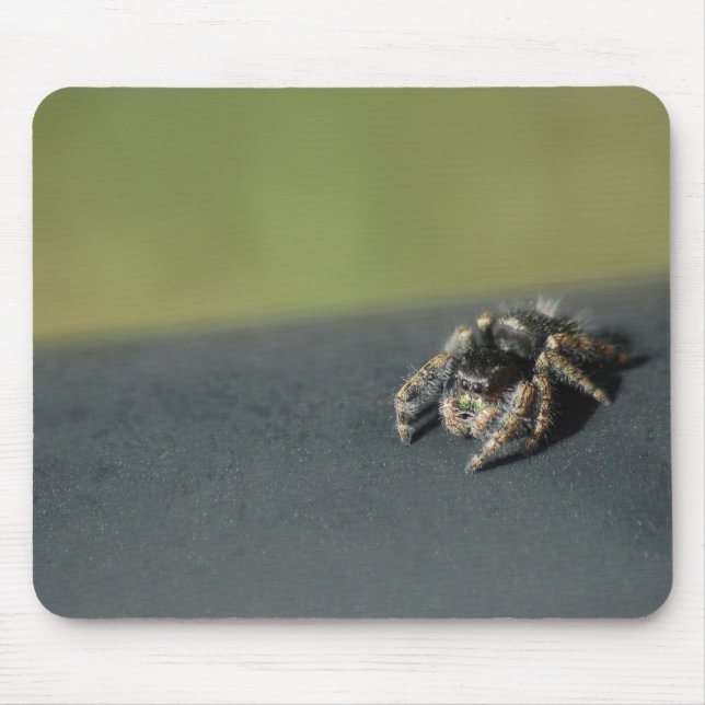 Spider Mouse Mat (Front)