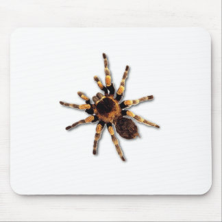 Spider Mouse Mat