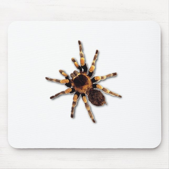 Spider Mouse Mat (Front)