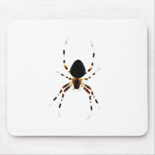 Spider mpcn mouse mat