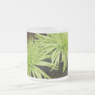 Spider Mum Frosted Glass Coffee Mug