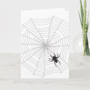 Spider net card