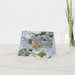Spider on Dusty Miller Note Card