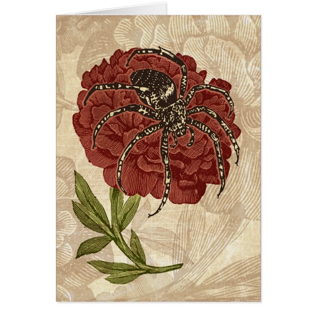 Spider On Flower (Front)