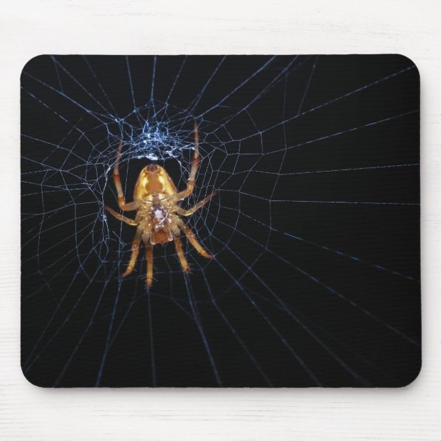 Spider on spiderweb mouse mat (Front)