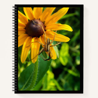 Spider on Sunflower 8.5 x 11 Spiral Notebook 