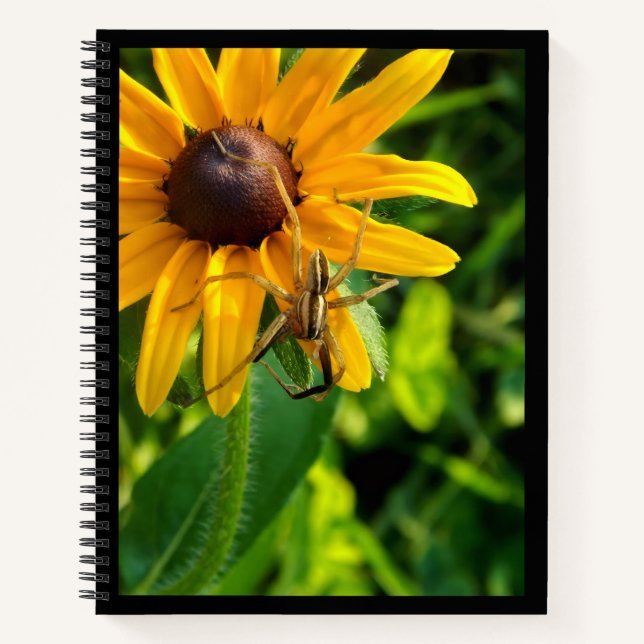 Spider on Sunflower 8.5 x 11 Spiral Notebook  (Front)