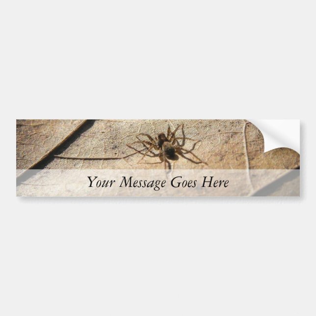 Spider on Weathered Leaf Bumper Sticker (Front)