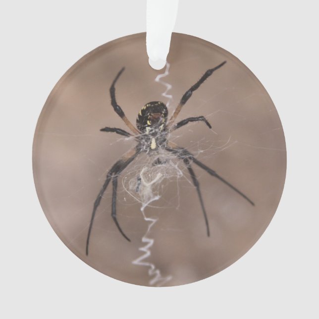Spider Ornament (Front)