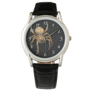 Spider photo watch