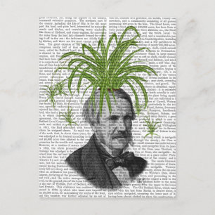 Spider Plant Head Postcard